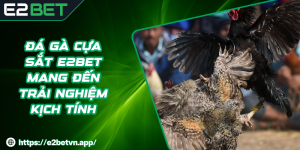 Đá Gà Cựa Sắt E2BET Mang Đến Trải Nghiệm Kịch Tính