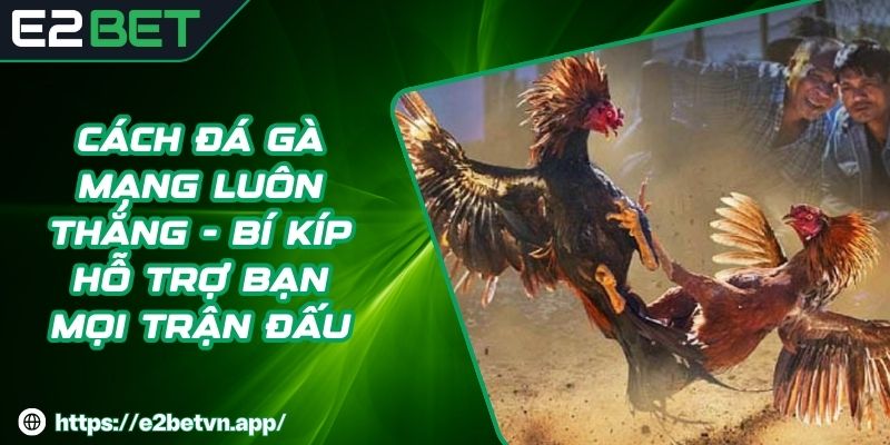 Cách Đá Gà Mạng Luôn Thắng - Bí Kíp Hỗ Trợ Bạn Mọi Trận Đấu