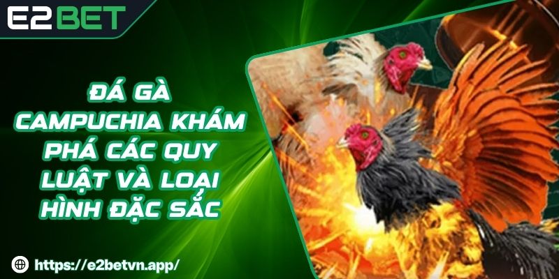Đá Gà Campuchia - Khám Phá Các Quy Luật Và Loại Hình Đặc Sắc