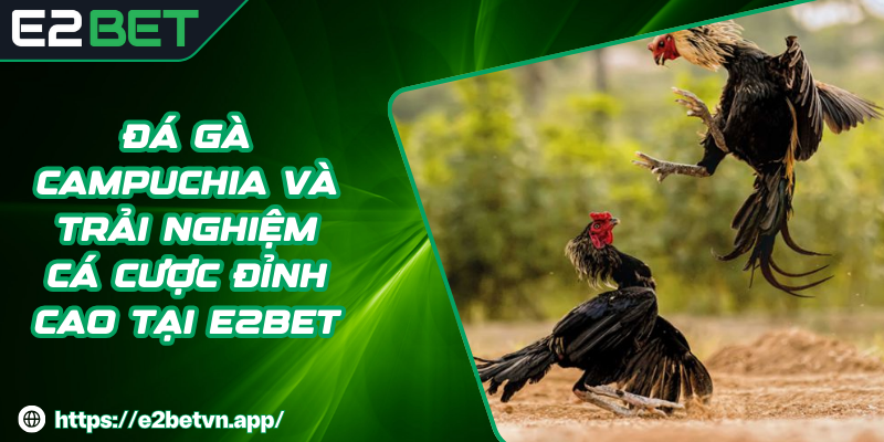 Cách tham gia cá cược đá gà tại E2BET đơn giản