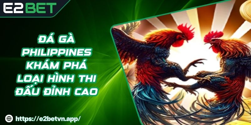 Đá Gà Philippines - Khám Phá Loại Hình Thi Đấu Đỉnh Cao
