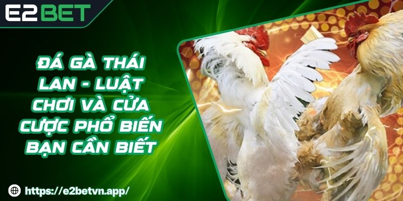 Đá Gà Thái Lan - Luật Chơi Và Cửa Cược Phổ Biến Bạn Cần Biết