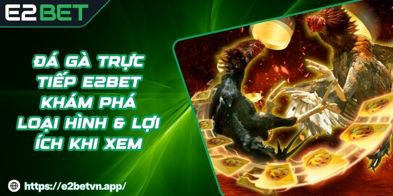 Đá Gà Trực Tiếp E2BET - Khám Phá Loại Hình & Lợi Ích Khi Xem