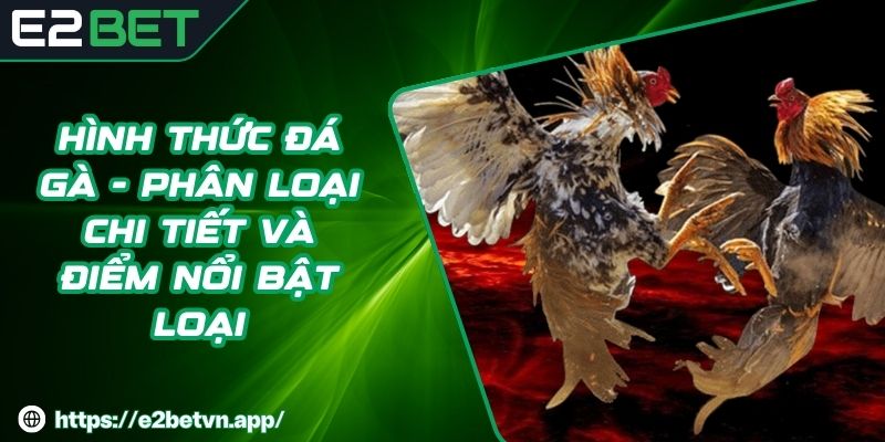 Hình Thức Đá Gà - Phân Loại Chi Tiết Và Điểm Nổi Bật Loại