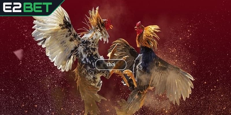Cơ hội kiếm tiền cao